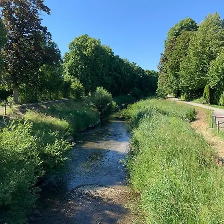 דירה Einzimmerwohnung In Seenaehe Klimatisiert פרידריכסהאפן